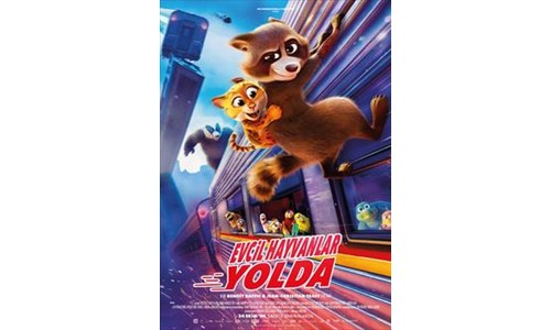 EVCİL HAYVANLAR YOLDA